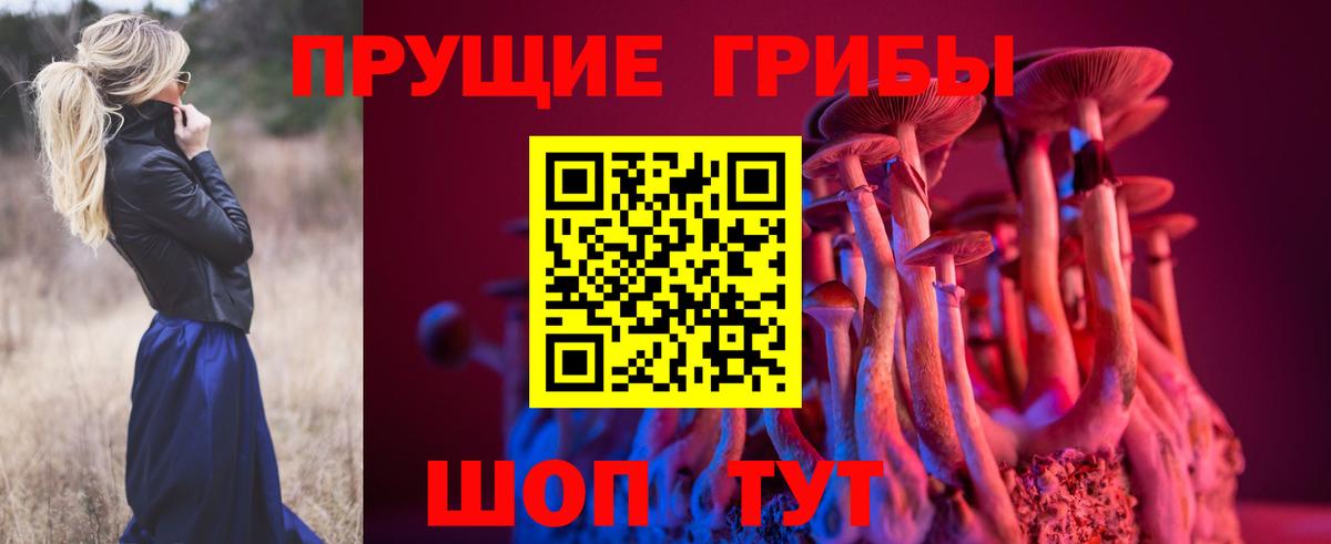 Псилоцибиновые грибы Cubensis  Вход с VPN  Чистополь 